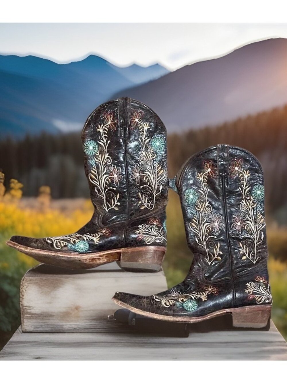 Pecos Bill Cowboy Boots  7.5 Embroidered Women’s Western Leather Cowgirl
